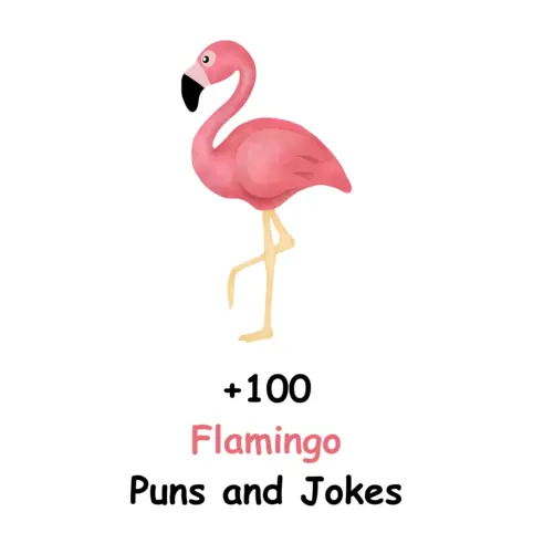 +100 Flamingo Puns and Jokes to Make You Smile