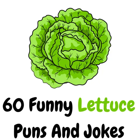 60+ Funny Lettuce Puns And Jokes: Romaine to be Funny - Puns - Funny Puns