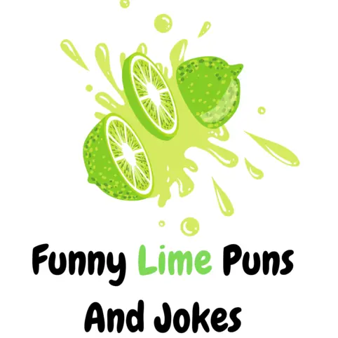 70+ Funny Lime Puns And Jokes: Squeeze the Day - Puns - Funny Puns