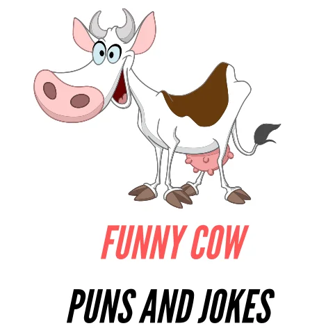 90+ Cow Puns and Jokes: Moo-ving Jokes - Puns - Funny Puns