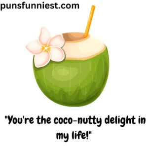 Coconut Puns