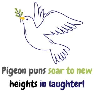 Pigeon Puns