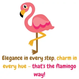 Flamingo Puns