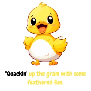 Duck Puns 