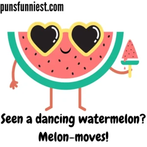 Watermelon Puns 