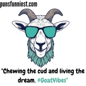 Goat Puns