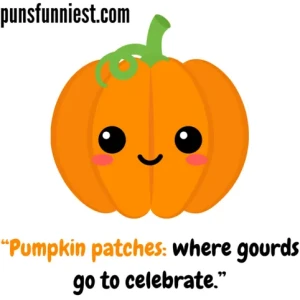 Pumpkin Patch