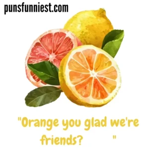 Citrus Puns