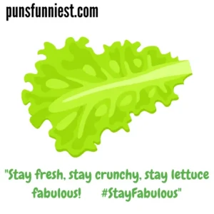  Lettuce Puns 