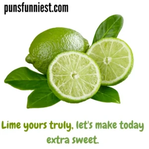 Lime Puns