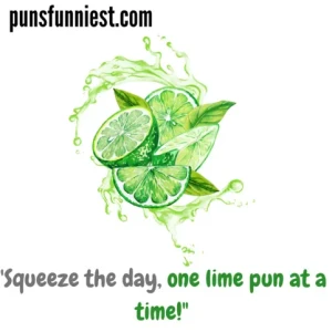Lime Puns 