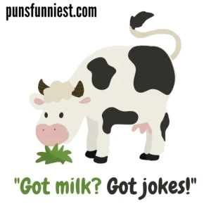 Cow Puns
