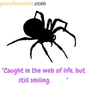 Spider Puns