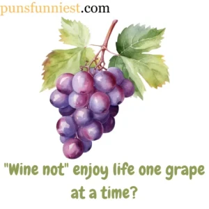  Grape Puns 