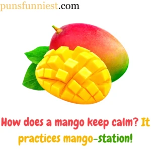 Mango Puns