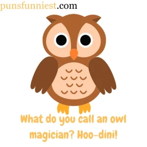 Owl Puns