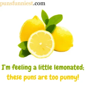 Lemon Puns 