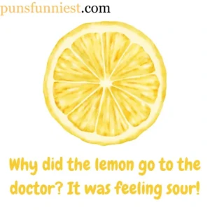 Lemon Puns
