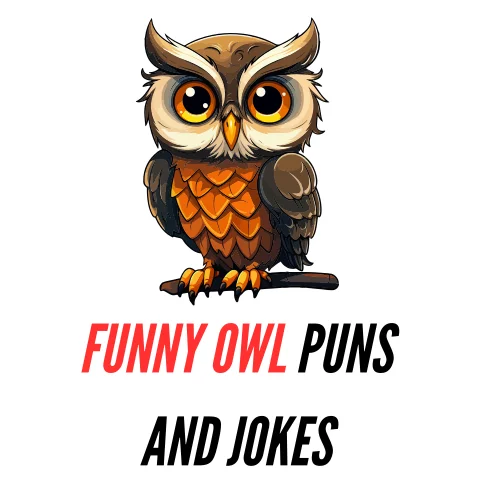 90+ Funny Owl Puns and Jokes: Whootastic Humor - Puns - Funny Puns