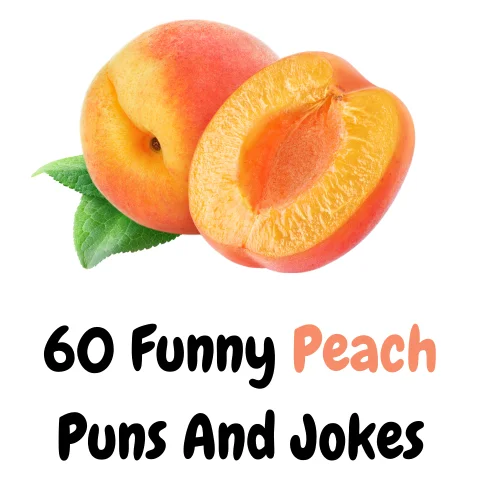60+ Funny Peach Puns And Jokes Fun and Fruity Puns Funny Puns