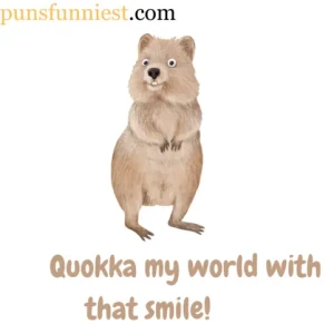  Quokka Puns 