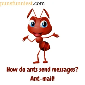  Ant Puns 