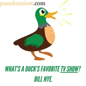  Quack Puns