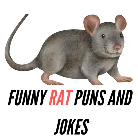 100+ Funny Rat Puns And Jokes: Rat-tastic Humor - Puns - Funny Puns