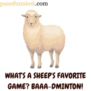 Sheep Puns 