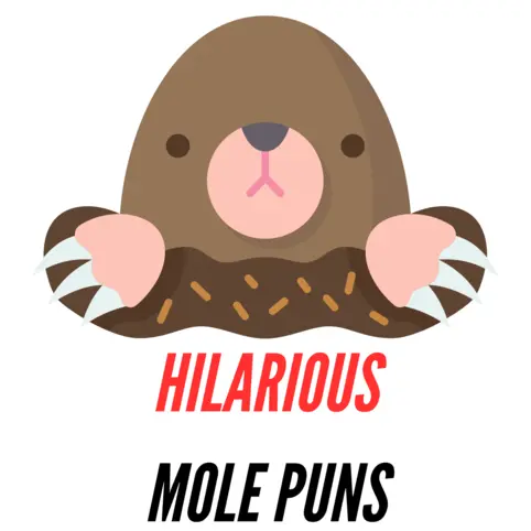 120+ Funny Mole Puns: Mole-tastic Humor - Puns - Funny Puns