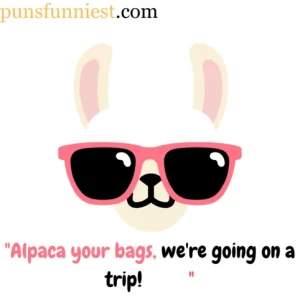 Alpaca Puns 