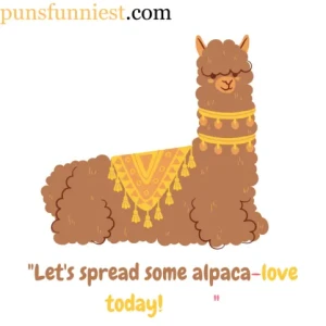  Alpaca Puns 