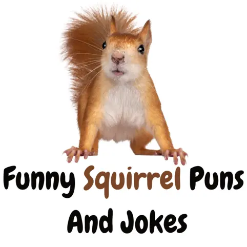 170+ Funny Squirrel Puns And Jokes for Hilarious Moments! - Puns ...