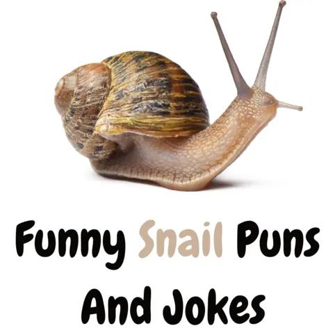 200+ Funny Snail Puns And Jokes: Slow and Hilarious - Puns - Funny Puns