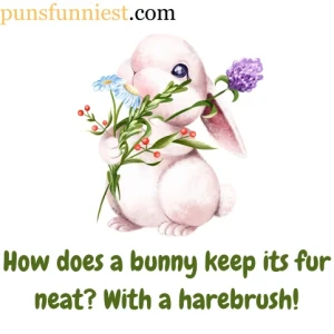  Bunny Puns 