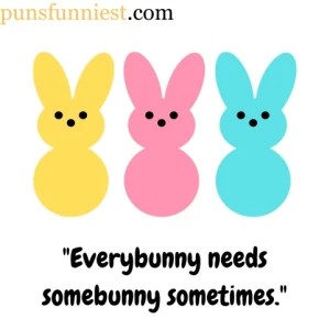 Bunny Puns