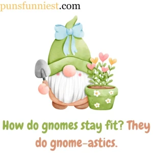Gnome Puns