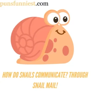 Snail Puns 