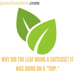 Leaf Puns 