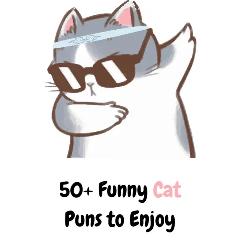 50+ Hiss-terically Funny Cat Puns to Enjoy - Puns - Funny Puns