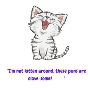 Cat Puns