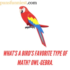 Bird puns