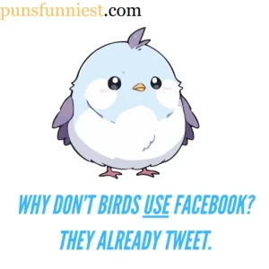 Bird puns