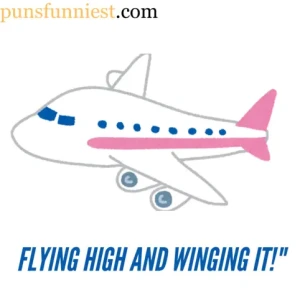 Airplane Puns