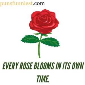 Rose Puns
