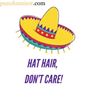 Hat Puns 