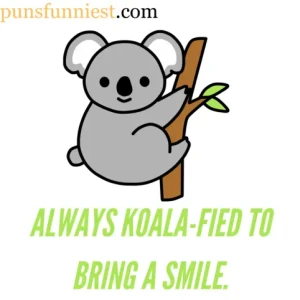 Koala Puns