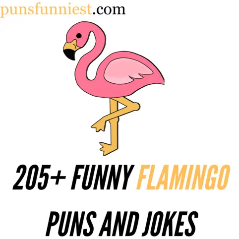 205+ Funny Flamingo Puns and Jokes: Pink Comedy Flamingo Puns Jokes