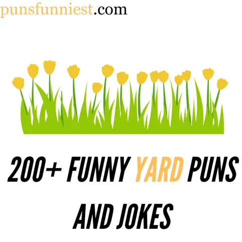 200+ Funny Yard Puns And Jokes: Blossom Bliss Yard Puns