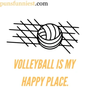 Volleyball Puns